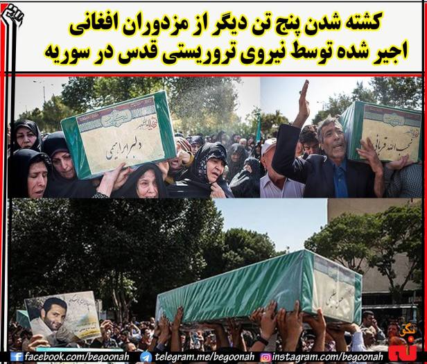 13735147_624698764357033_4226985426354183512_o