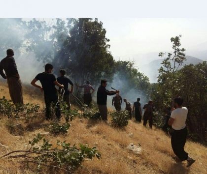 13770395_625298574297052_8085610032084129201_n