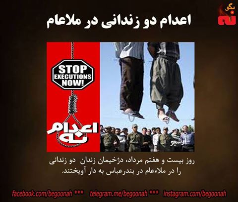 13912865_637366186423624_6851194947131643364_n