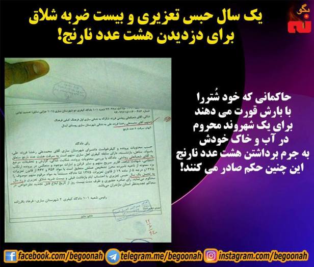 13939532_634081236752119_8915289730427689684_n