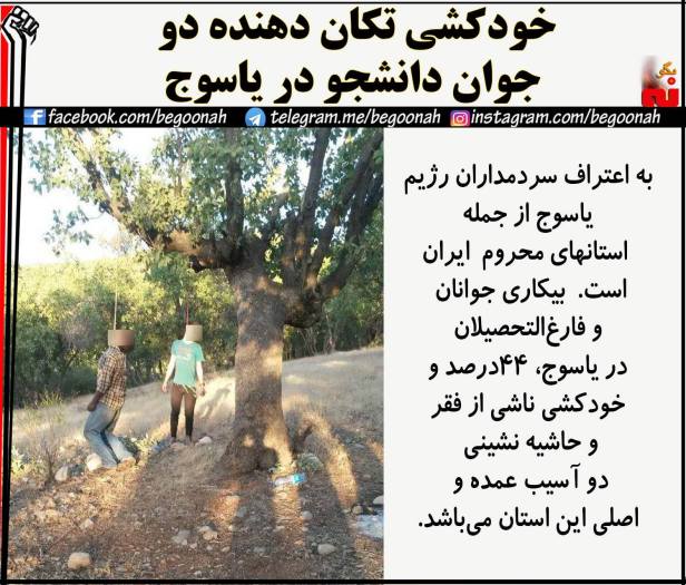 13962867_634640733362836_5946273044270761875_o