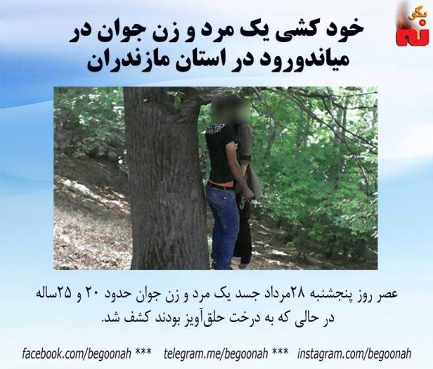 14063897_638296966330546_9118906053013030865_n