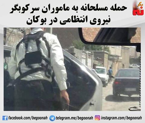 14079761_639471922879717_2213895360705291998_n