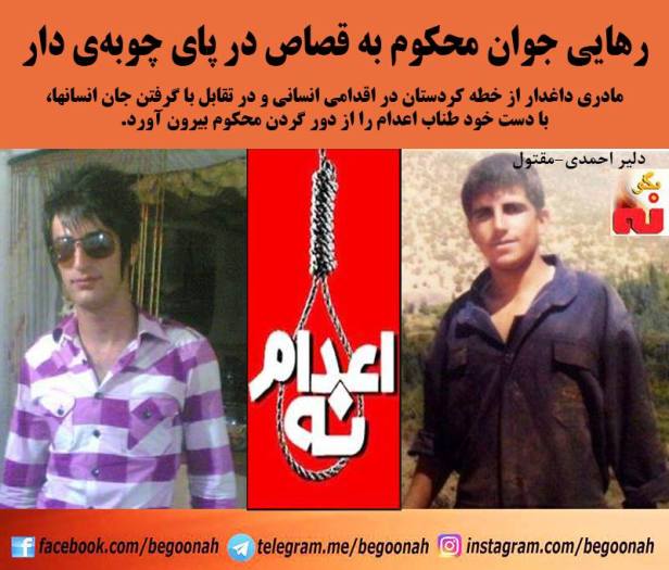 14102542_640739669419609_529258443432707783_n