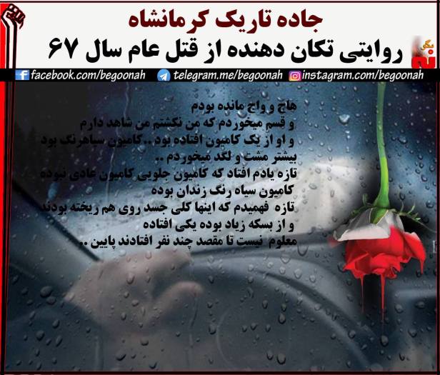 14114906_639264189567157_1850554347698323005_o