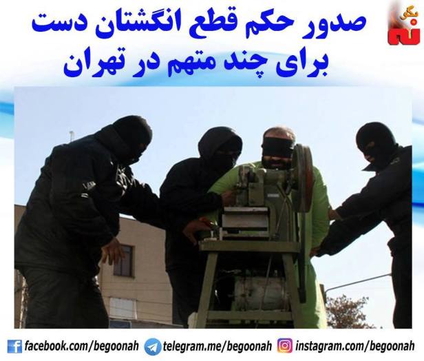 14117701_639941392832770_8540631422693386149_n