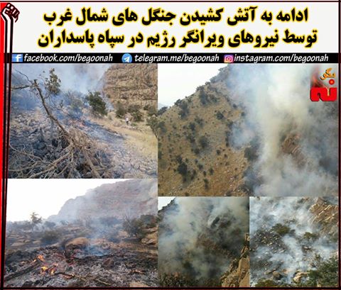 14199686_645486828944893_7159609889766637609_n