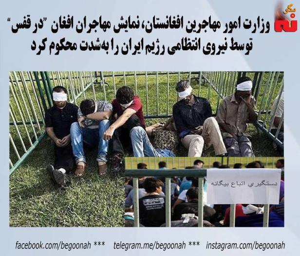 14233087_649233918570184_2066256371976367995_n