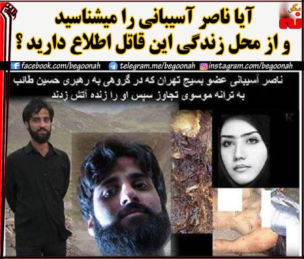 14249880_649496718543904_40238929935929418_o