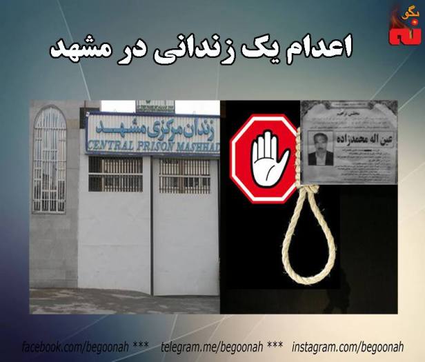 14264982_649213321905577_6937969349354579631_n