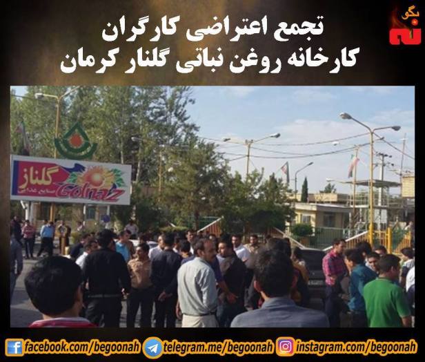 14355637_650799655080277_3573895924810273182_n