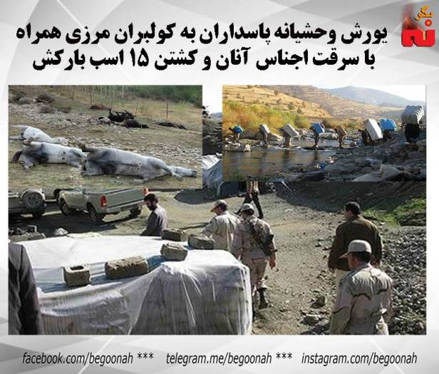 14358635_650605641766345_8111429944942952696_n