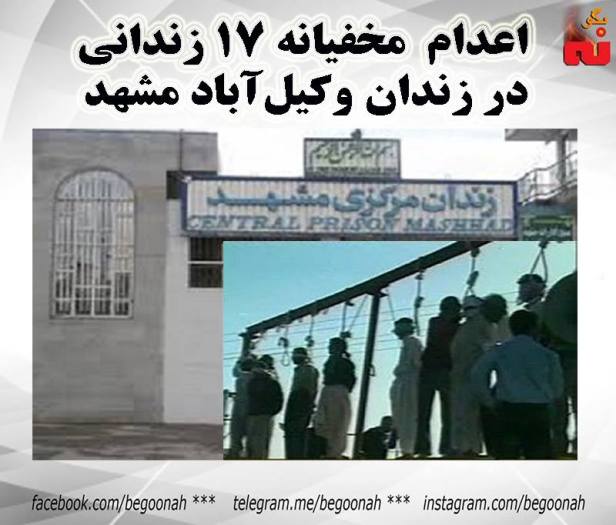 14463310_656866171140292_789621201551848608_n