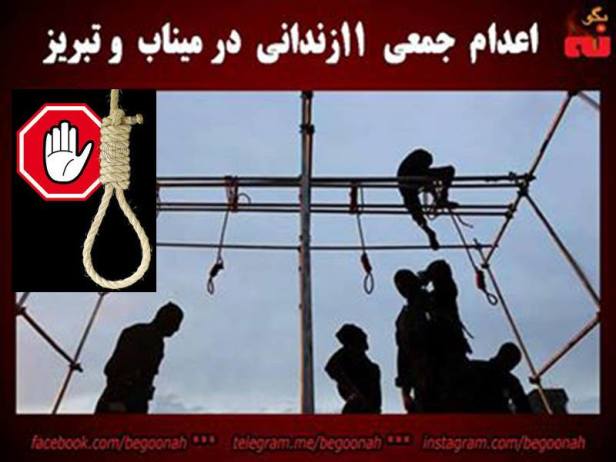 14479540_657348974425345_2530641837232909866_n