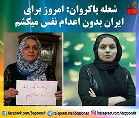 14470526_659943967499179_3626849545176439001_n