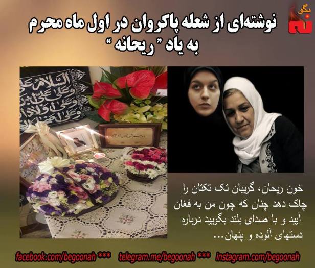 14492440_660483137445262_6464311069512908957_n