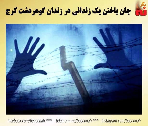 14563385_664877500339159_5219652818859516654_n