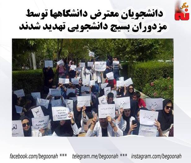 14570237_660449414115301_7514737712879231215_n