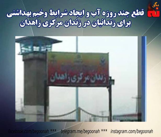 14570469_660461990780710_296752751965529577_n