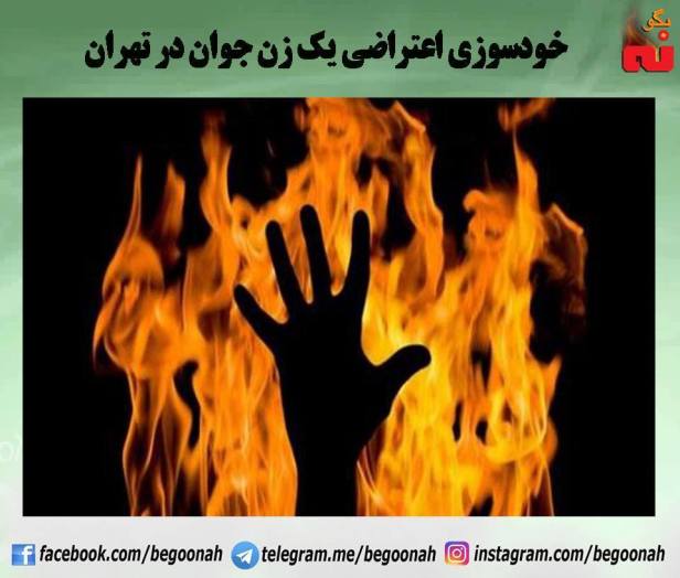 14642370_662749893885253_4343974498970032250_n