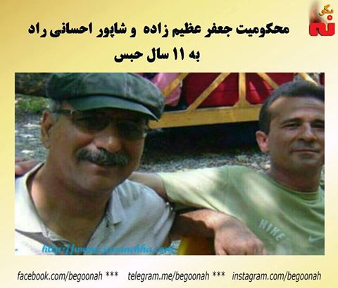 14650741_667036456789930_2976186544863795668_n