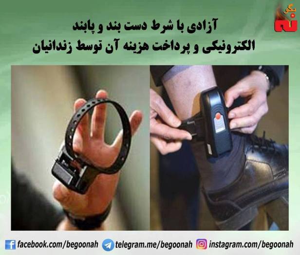 14666062_664371813723061_6234114780381634058_n