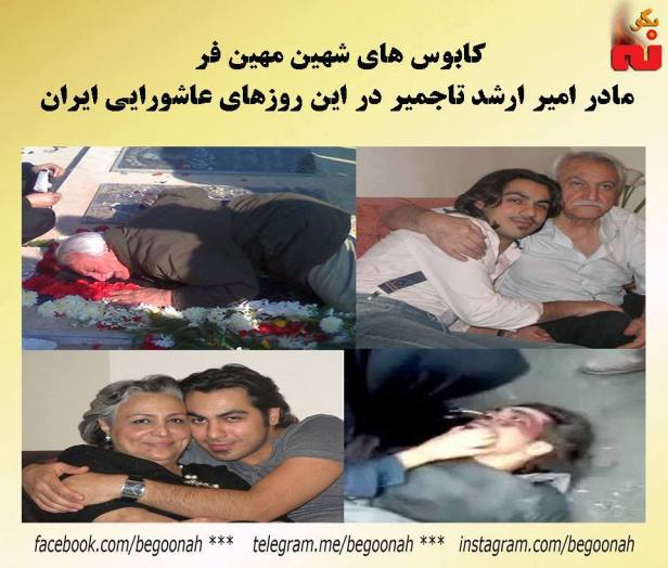 14680656_664362527057323_8043722154801435345_n