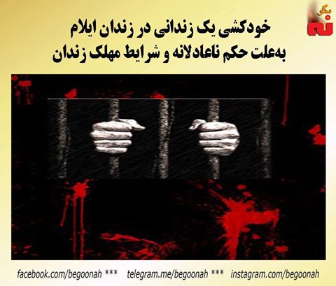 14729307_667612686732307_1352359841839423516_n