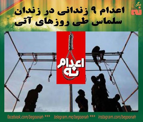 14568029_676873119139597_323273122939396384_n