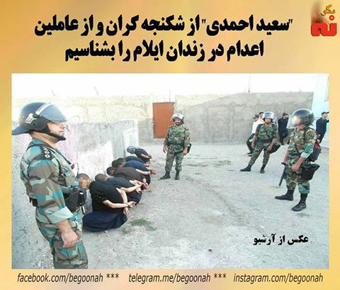 14907067_677911239035785_6735092554972657939_n