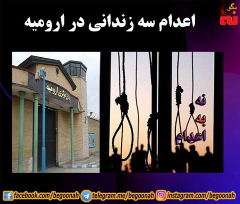 14915153_677533022406940_1327518676543495852_n