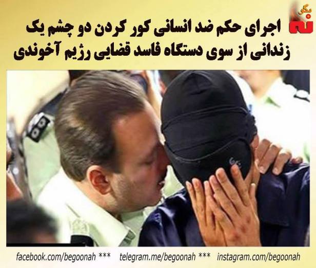 14956439_681031022057140_2563349658344608349_n