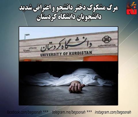 15032922_685716111588631_9078525911931093216_n