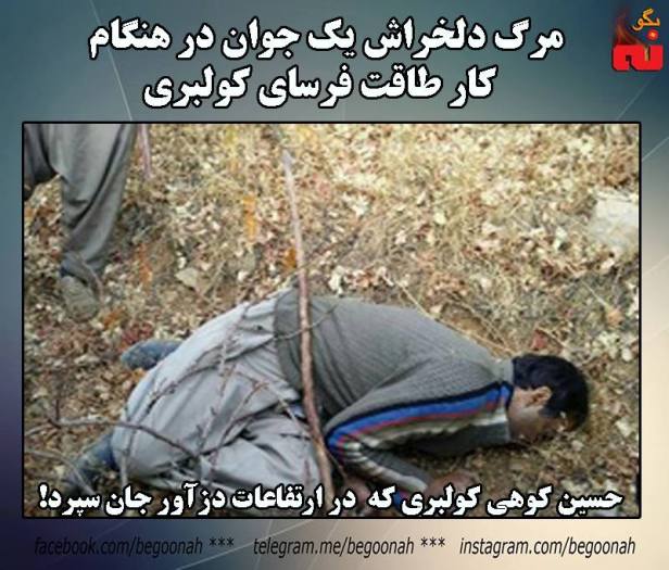 15056350_682637901896452_2308668470422515340_n