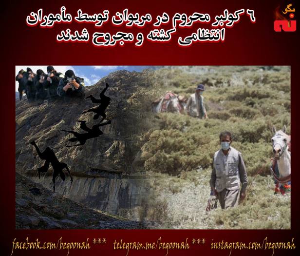 15194337_692599197566989_119448223493757406_o