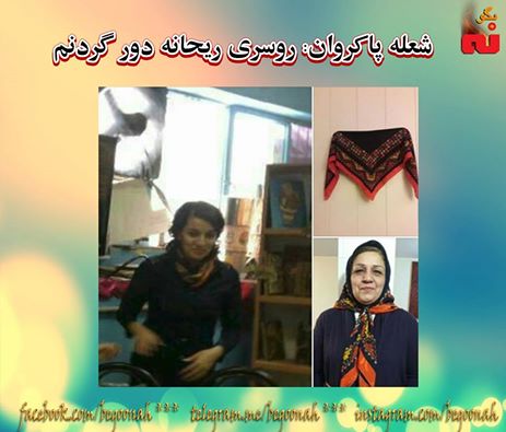 15203315_692601420900100_4839434982618073379_n