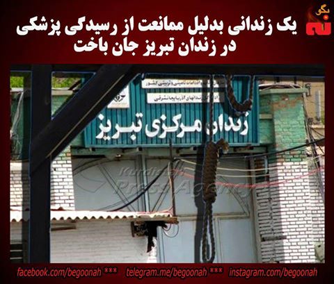 15232135_692575870902655_5460640704621368623_n