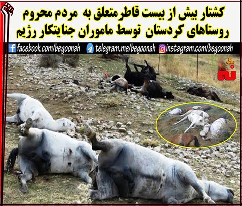 15350505_697991313694444_2836152870847313621_n