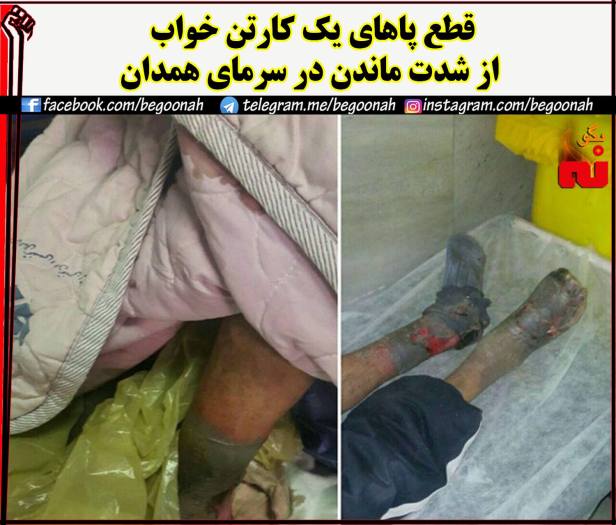 15418515_699486473544928_4325928475288880239_o