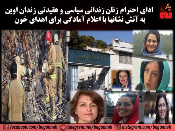 16113902_723763774450531_2197420630268009522_n