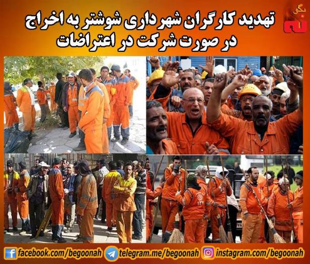 16508100_732684996891742_3529581747423439708_n