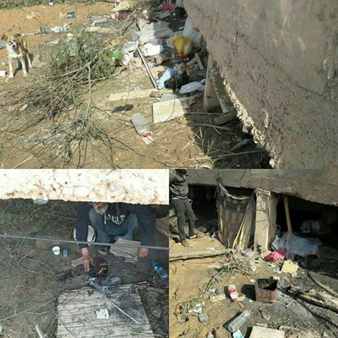 16508981_732180566942185_1691144247205180432_n