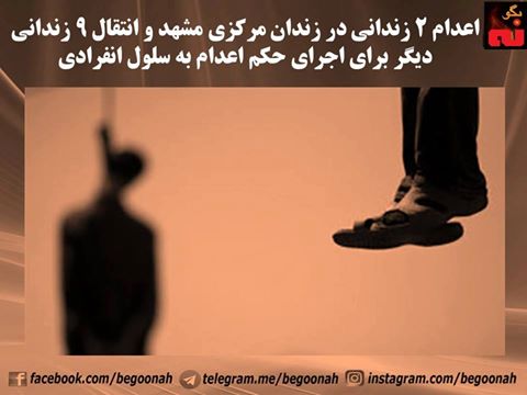 16641116_734907146669527_616552281061041632_n