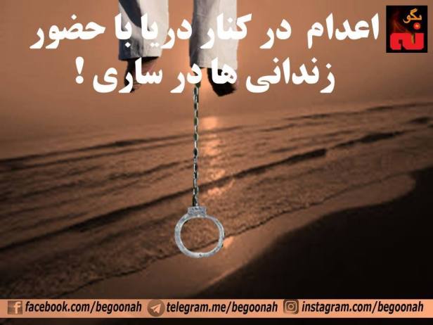 16683885_734328520060723_2295041324215927339_n