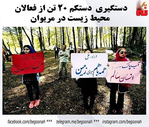 17361520_752596014900640_3030578242378948642_n