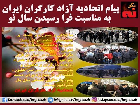 17361877_752713828222192_2738795926512177844_n