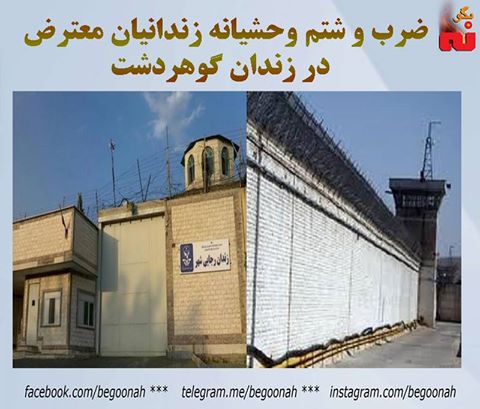 18057651_773000442860197_3462737204949031673_n