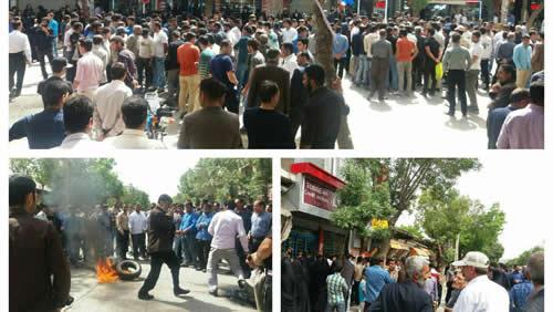 2017524182231503199351