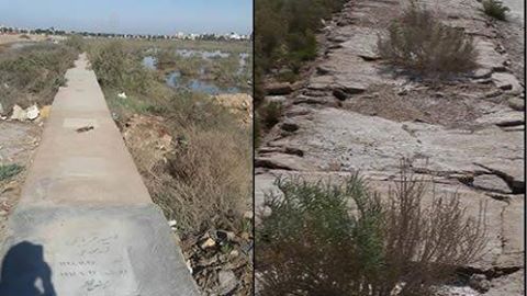 18767402_218337642013211_7041941724738326371_n