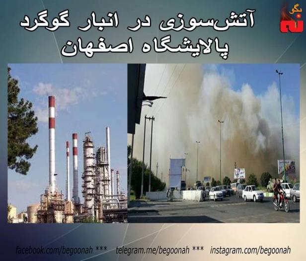 19430059_807908312702743_3808353038683736888_n